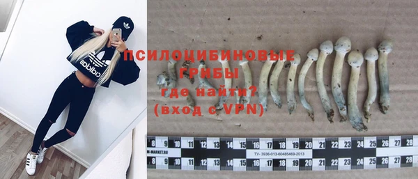 Альфа ПВП Арсеньев