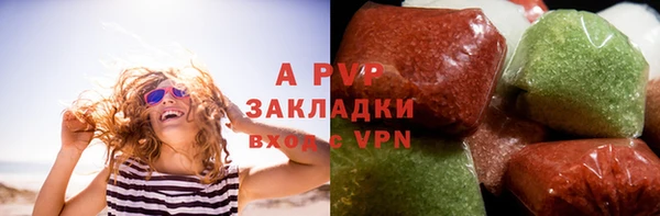 ГАЛЛЮЦИНОГЕННЫЕ ГРИБЫ Аркадак