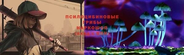 Альфа ПВП Арсеньев