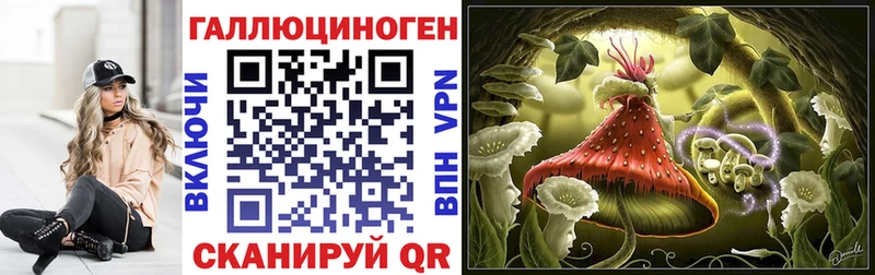 Галлюциногенные грибы мицелий  Балей 