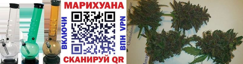 Шишки марихуана марихуана  Балей 